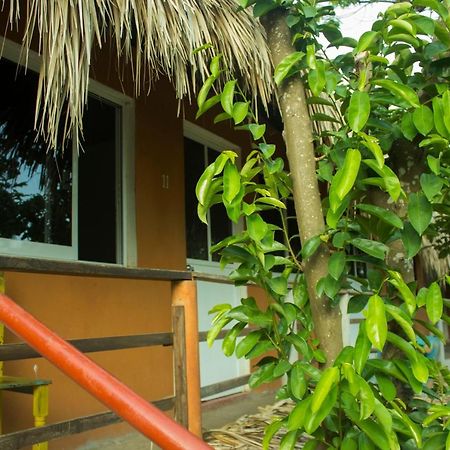 Posada La Huerta Mazunte Εξωτερικό φωτογραφία